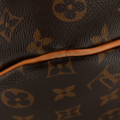 Louis Vuitton Monogram Delightful PM 16 of 17