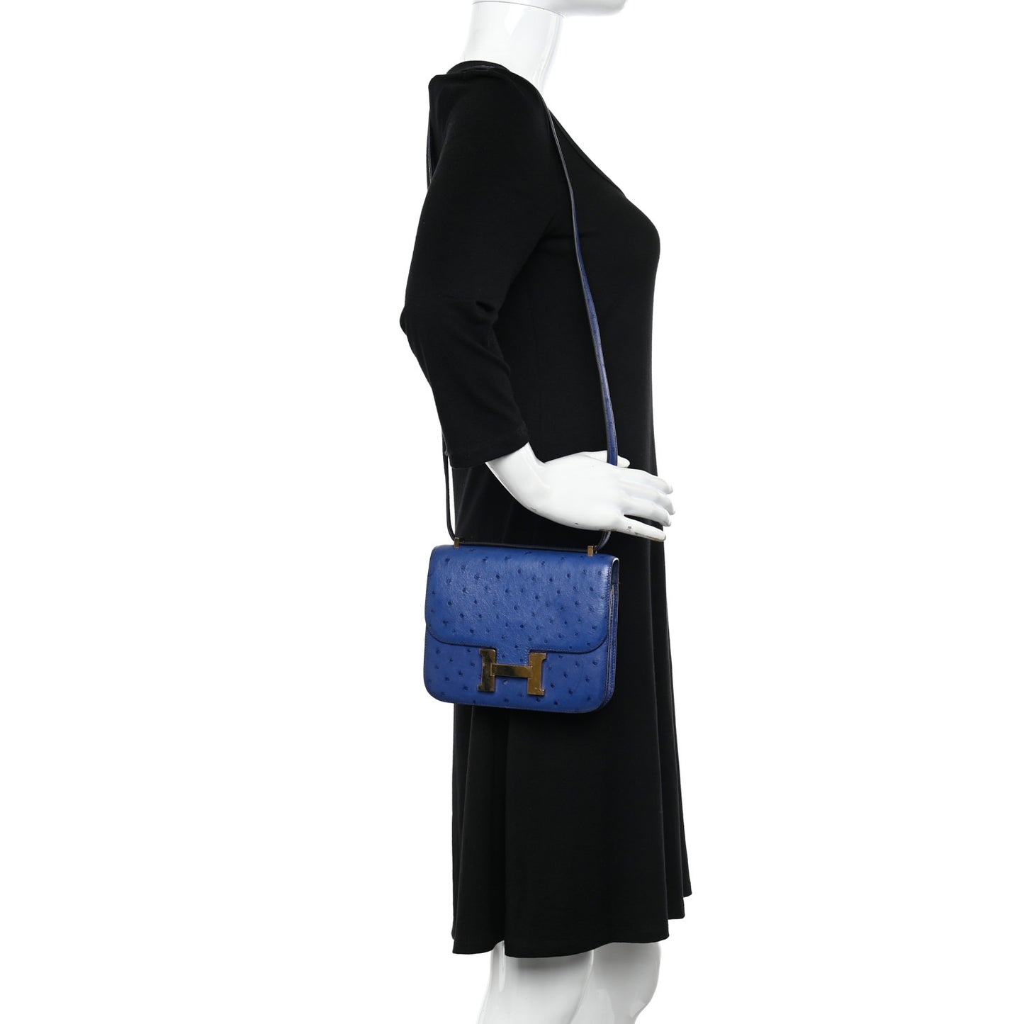Ostrich Constance 18 Bleu Saphir