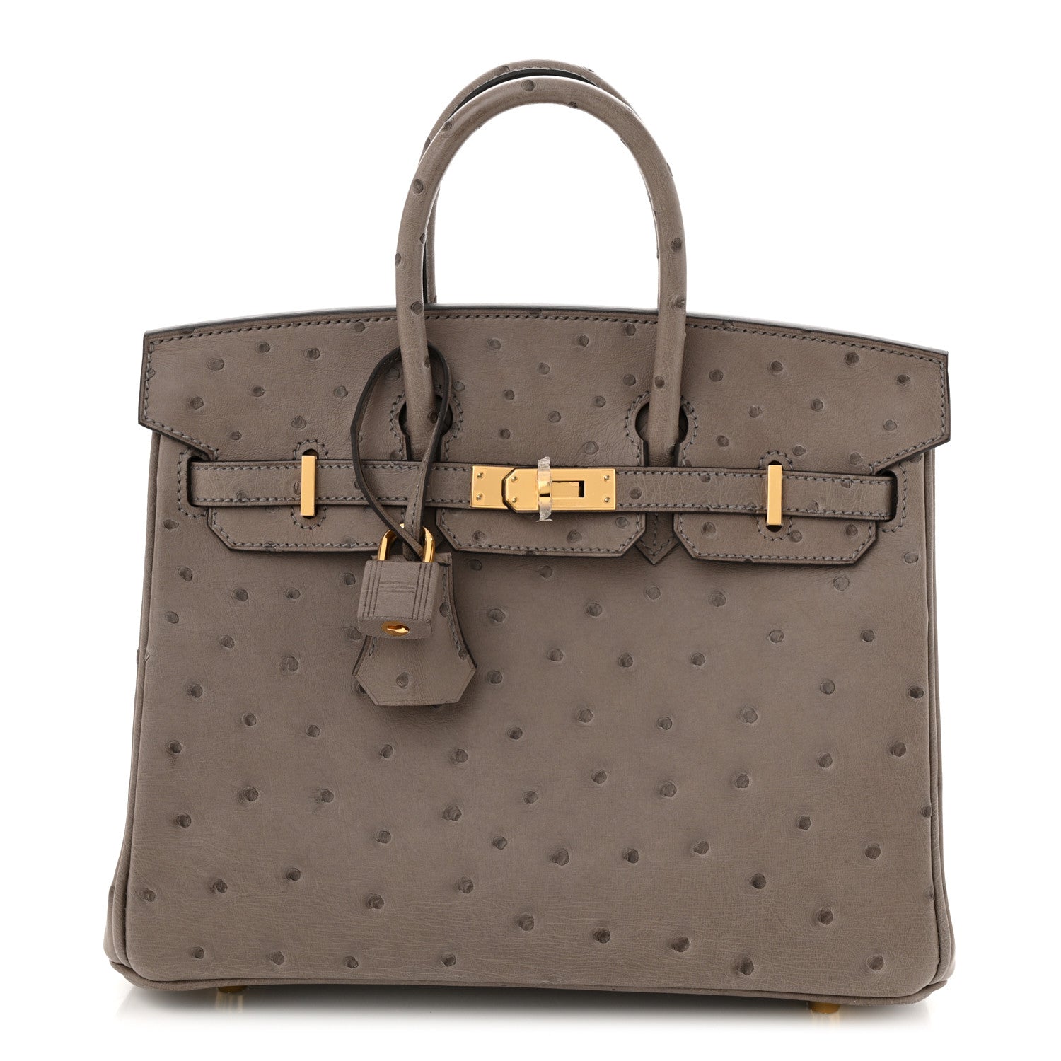 Hermes Ostrich Birkin 25 Gris Tourterelle 1 of 13