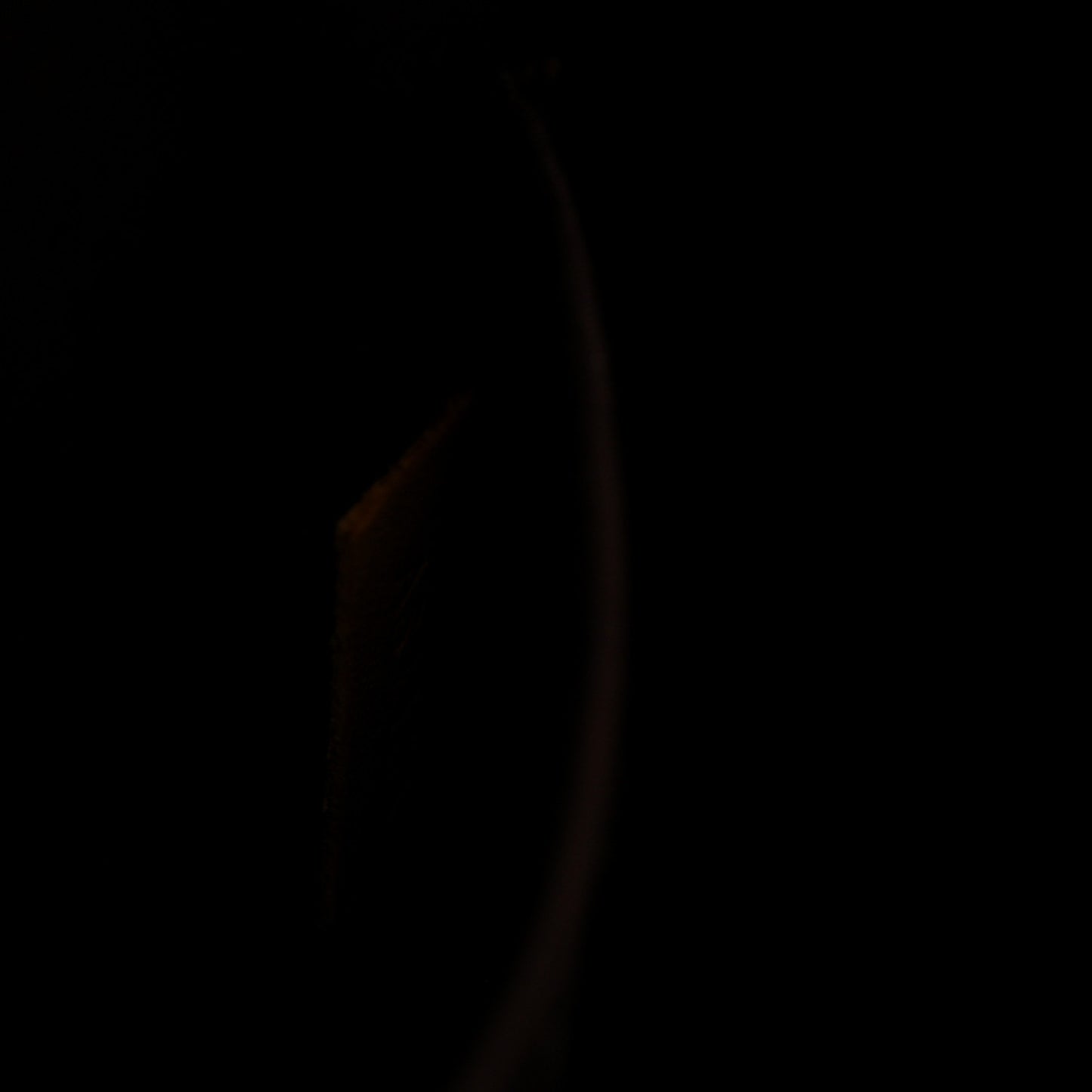 Vernis Alma BB Amarante