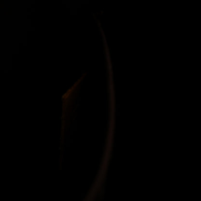 Louis Vuitton Vernis Alma BB Amarante 7 of 13