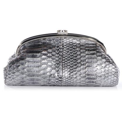 Chanel Python Timeless Clutch Dark Silver 1 of 7