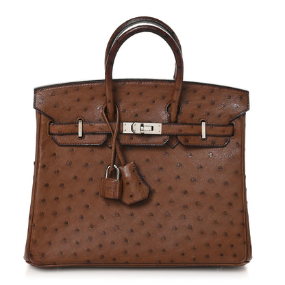 Hermes Ostrich Birkin 25 Noisette 1 of 13