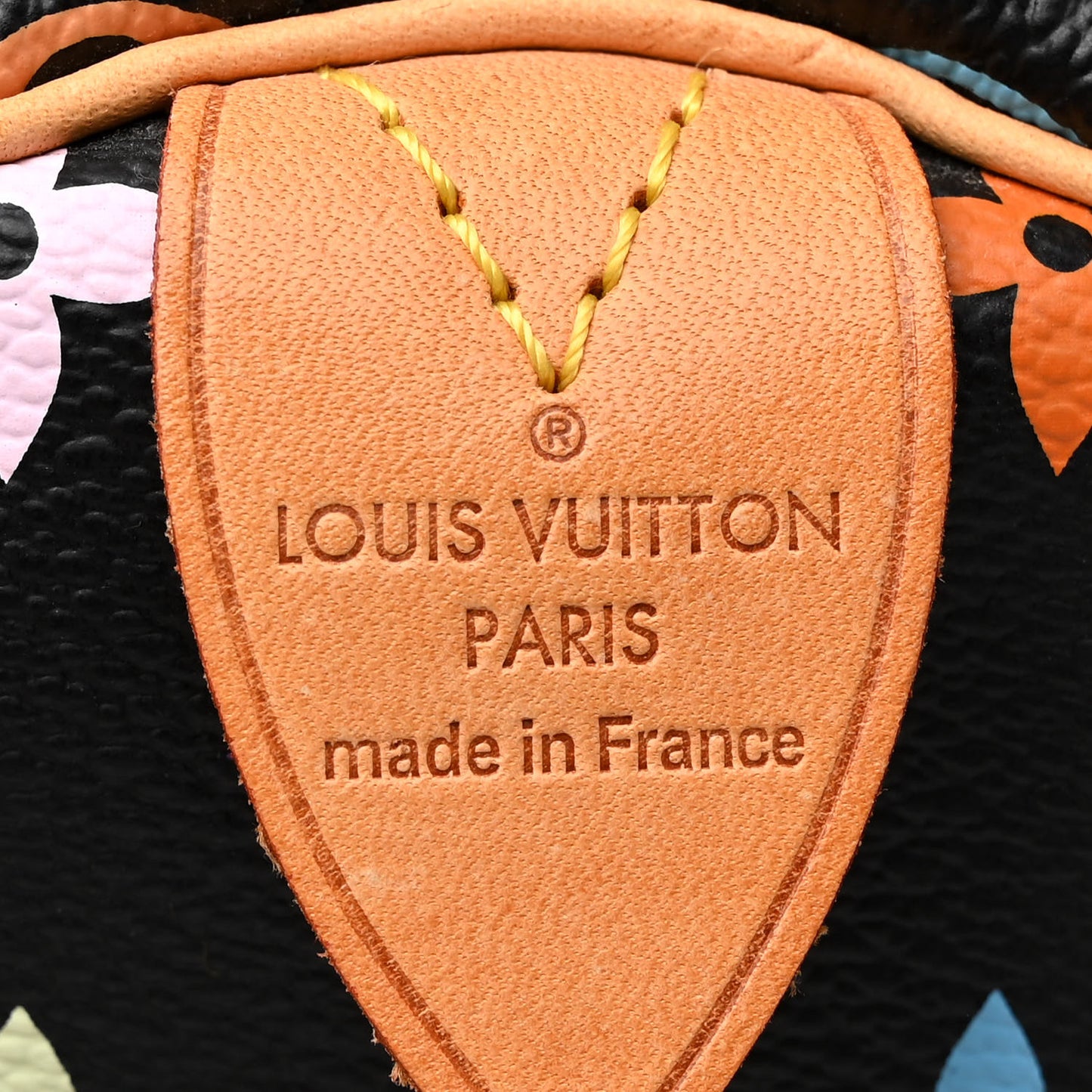 Monogram Multicolor Speedy 30 Black