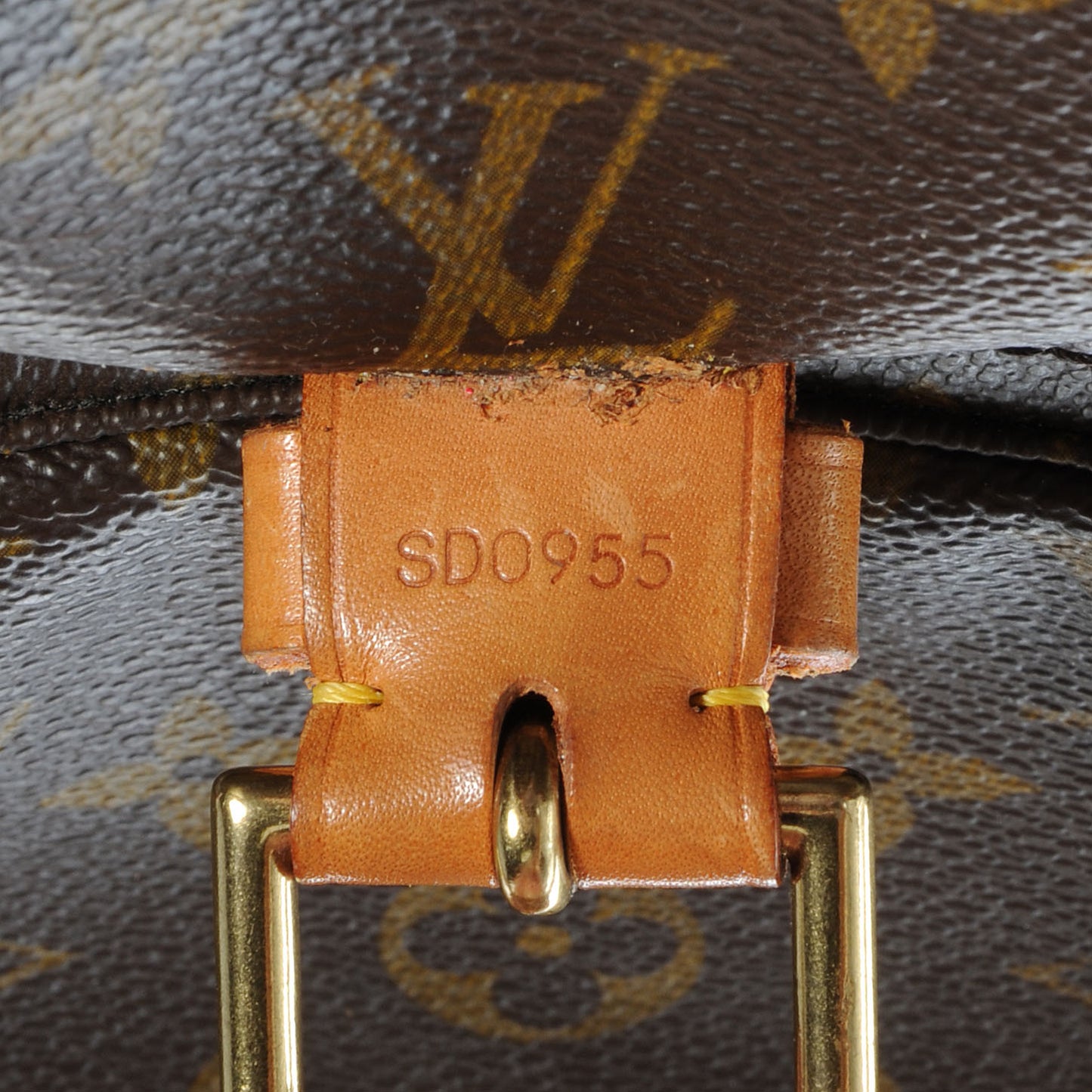Monogram Montsouris GM Backpack