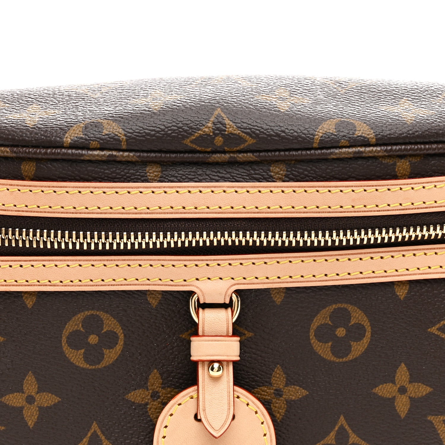 Louis Vuitton Monogram High Rise Bumbag 6 of 8