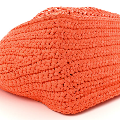 Stella McCartney Braided Raffia Eco Alter Napa Perforated Logo Crossbody Bag Brick 10 of 15