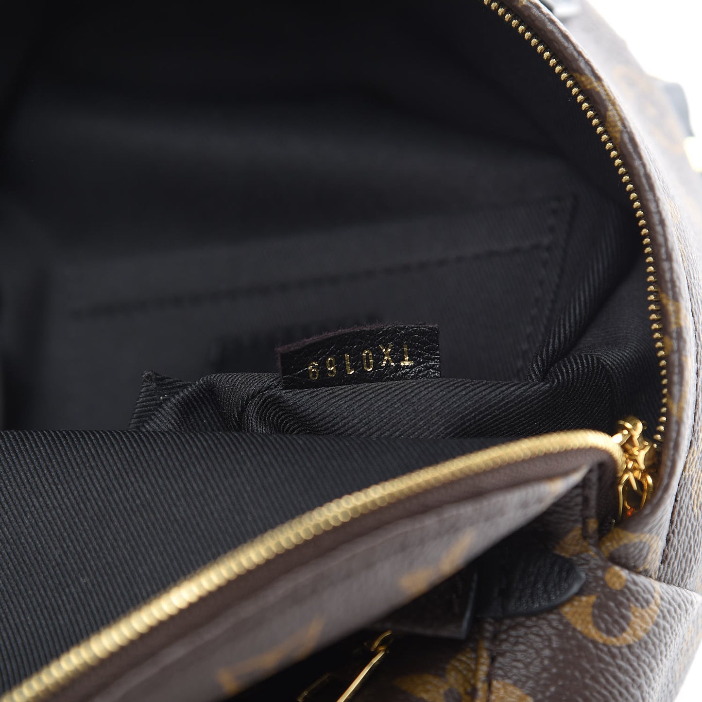 Monogram Palm Springs Backpack Mini