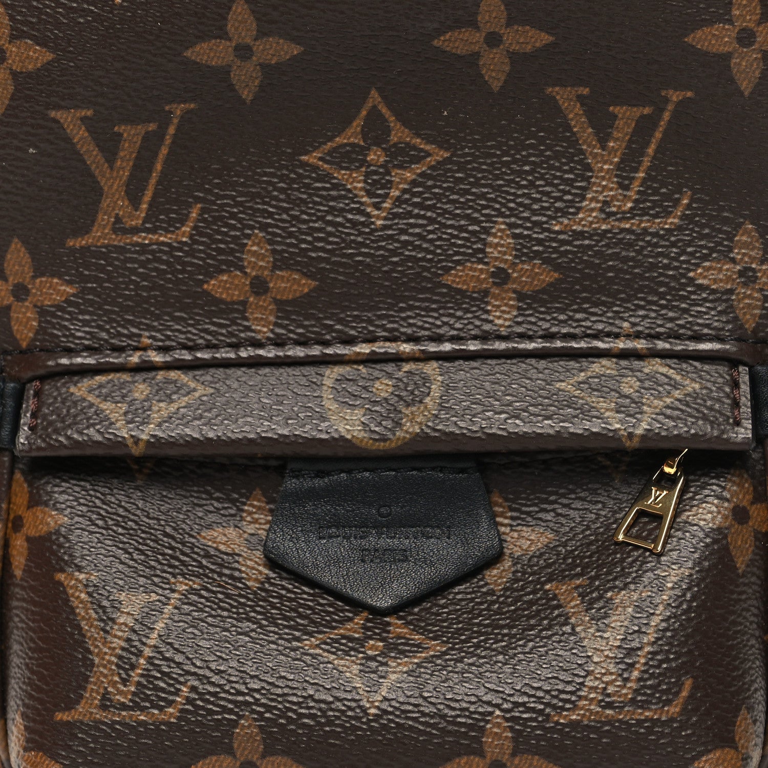 Louis Vuitton Monogram Palm Springs Backpack Mini 7 of 10