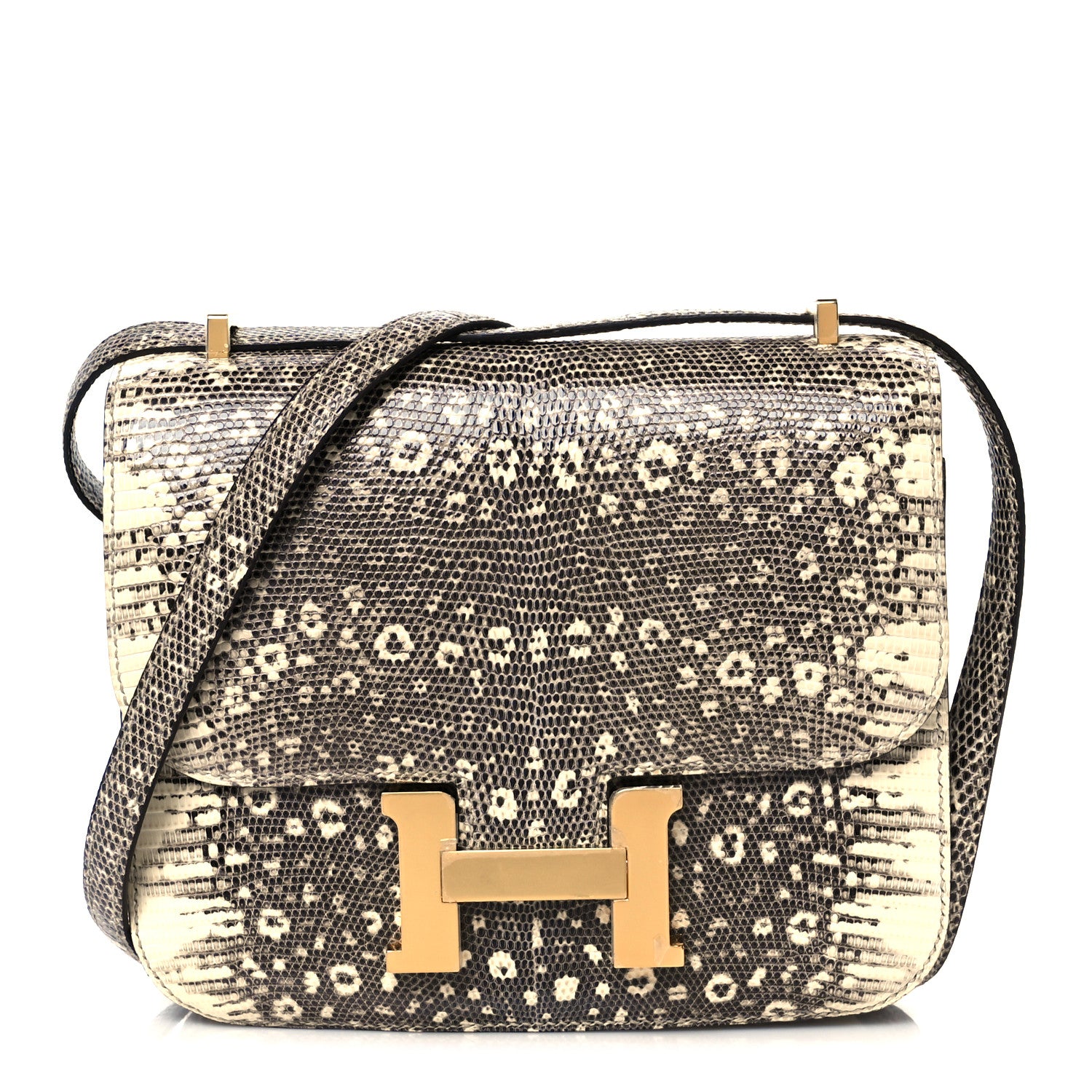 Hermes Lizard Constance 18 Ombre 1 of 12