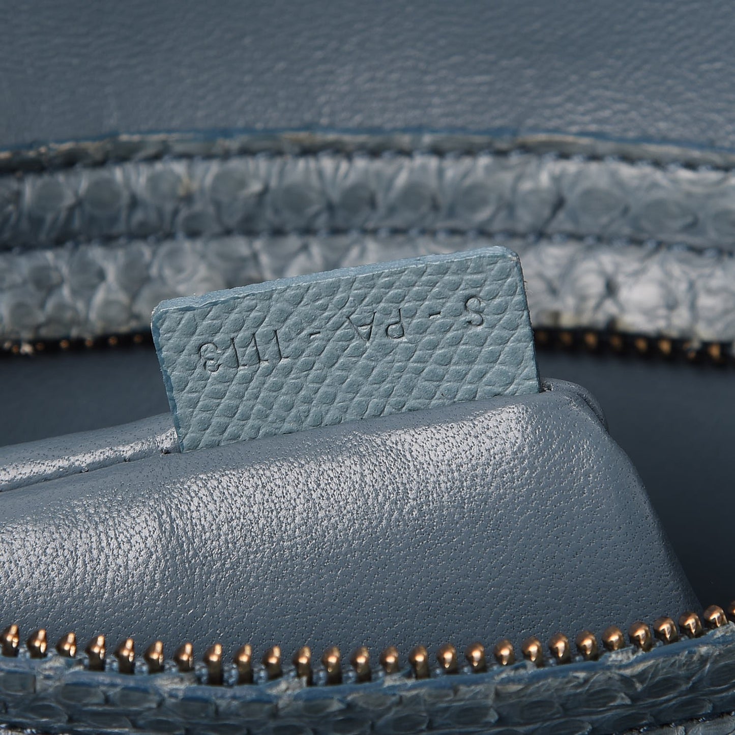 Python Medium Phantom Luggage Blue