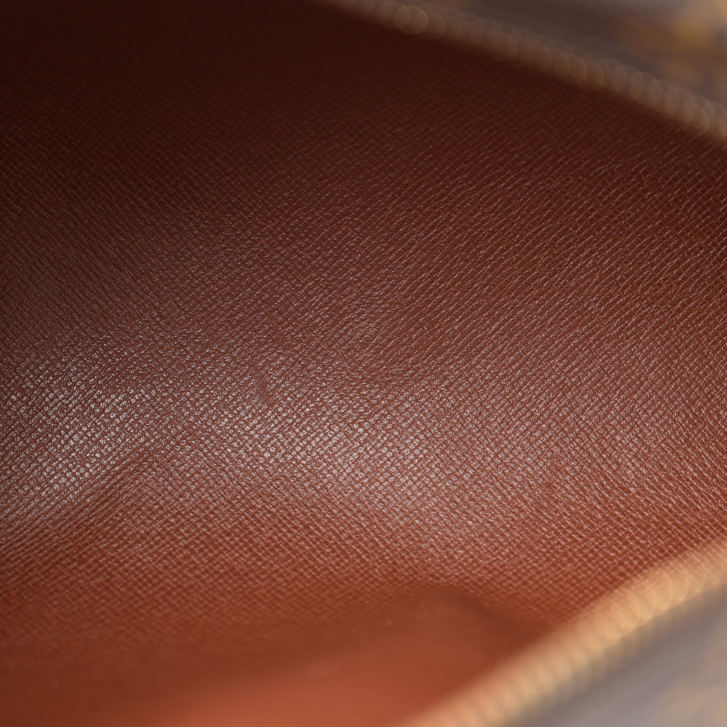 Monogram Papillon 26
