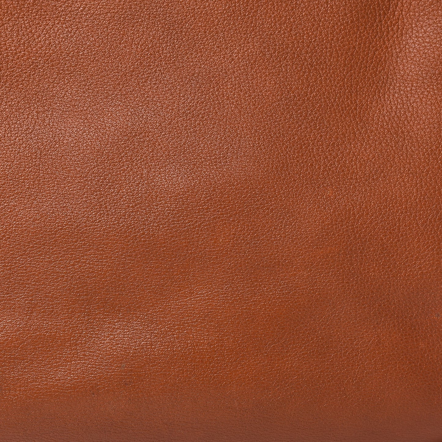 Calfskin Large Marcie Satchel Tan
