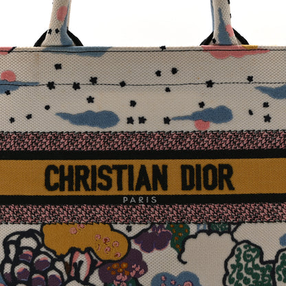 Christian Dior Canvas Embroidered Ciel De Reve Small Book Tote Latte Multicolor 8 of 10