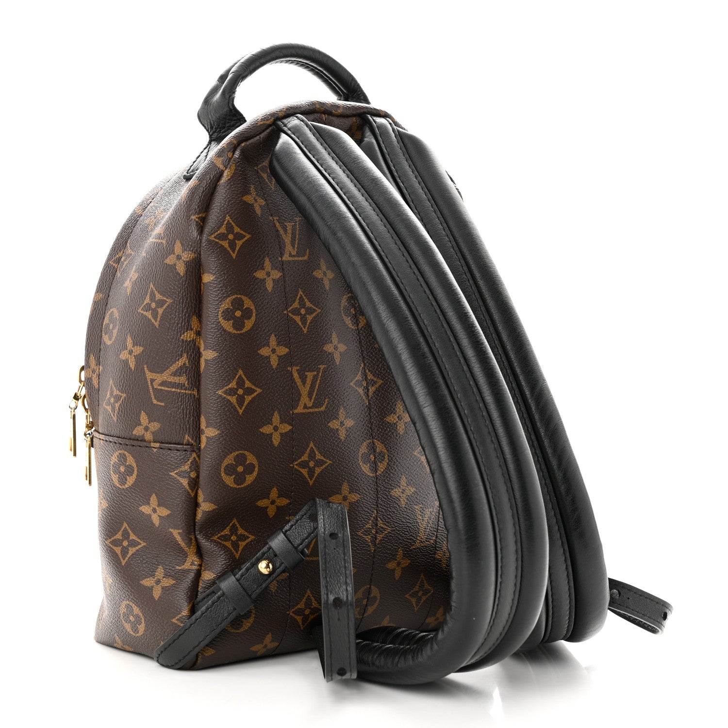 Louis Vuitton Monogram Palm Springs Backpack PM 3 of 13