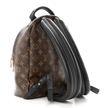 Louis Vuitton Monogram Palm Springs Backpack PM 3 of 13