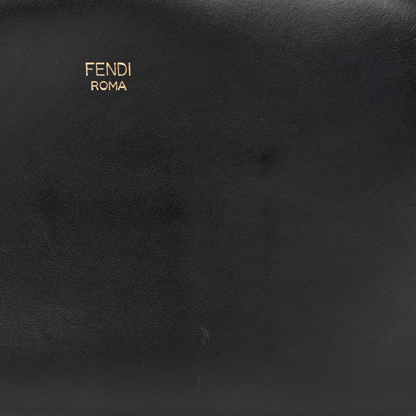 Vitello Century F is Fendi Bi-Color FF 1974 Embossed Camera Case Maya Black