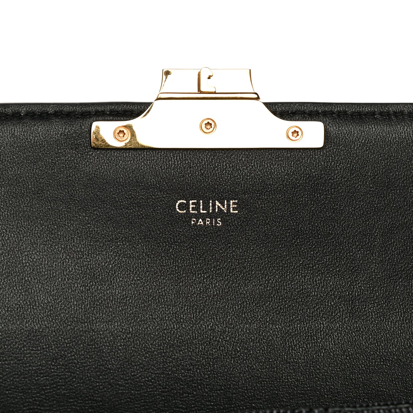 Lizard Mini Triomphe Black