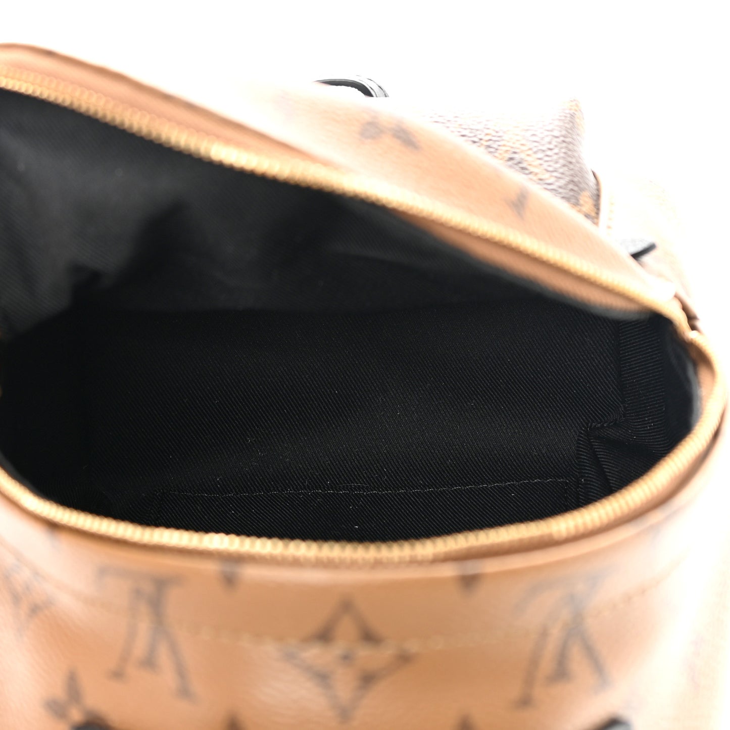 Reverse Monogram Palm Springs Backpack Mini