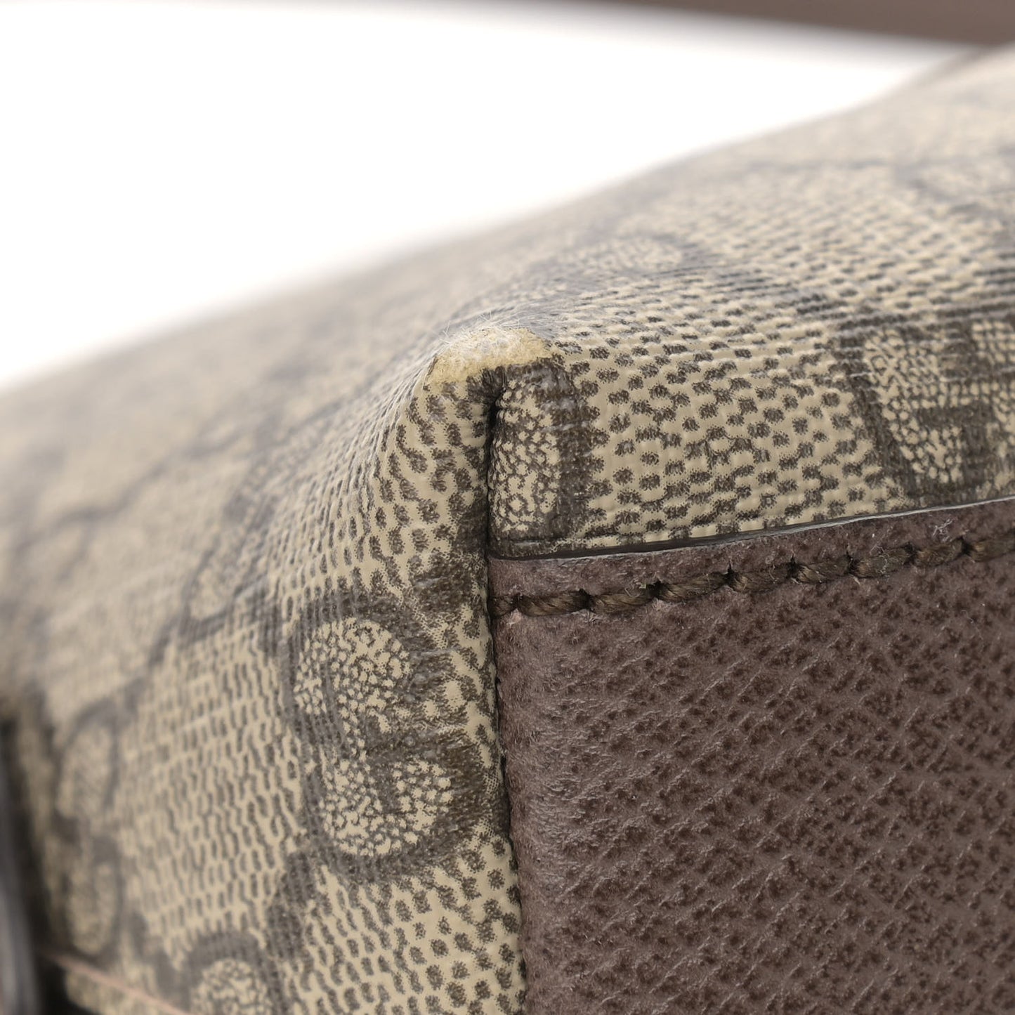 GG Supreme Monogram Textured Dollar Calfskin Web Small Ophidia Dome Shoulder Bag Beige Ebony New Acero
