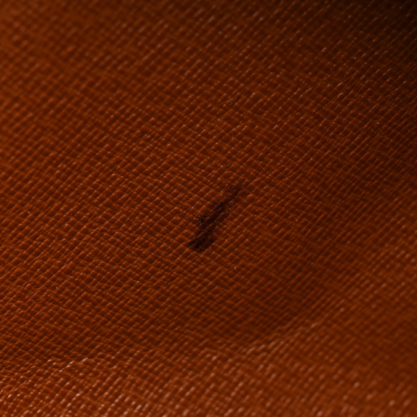 Monogram Papillon 26