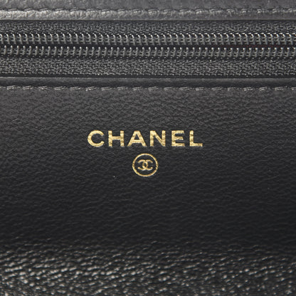 Chanel Shiny Goatskin Quilted Chanel 19 Wallet On Chain WOC Black 6 of 12