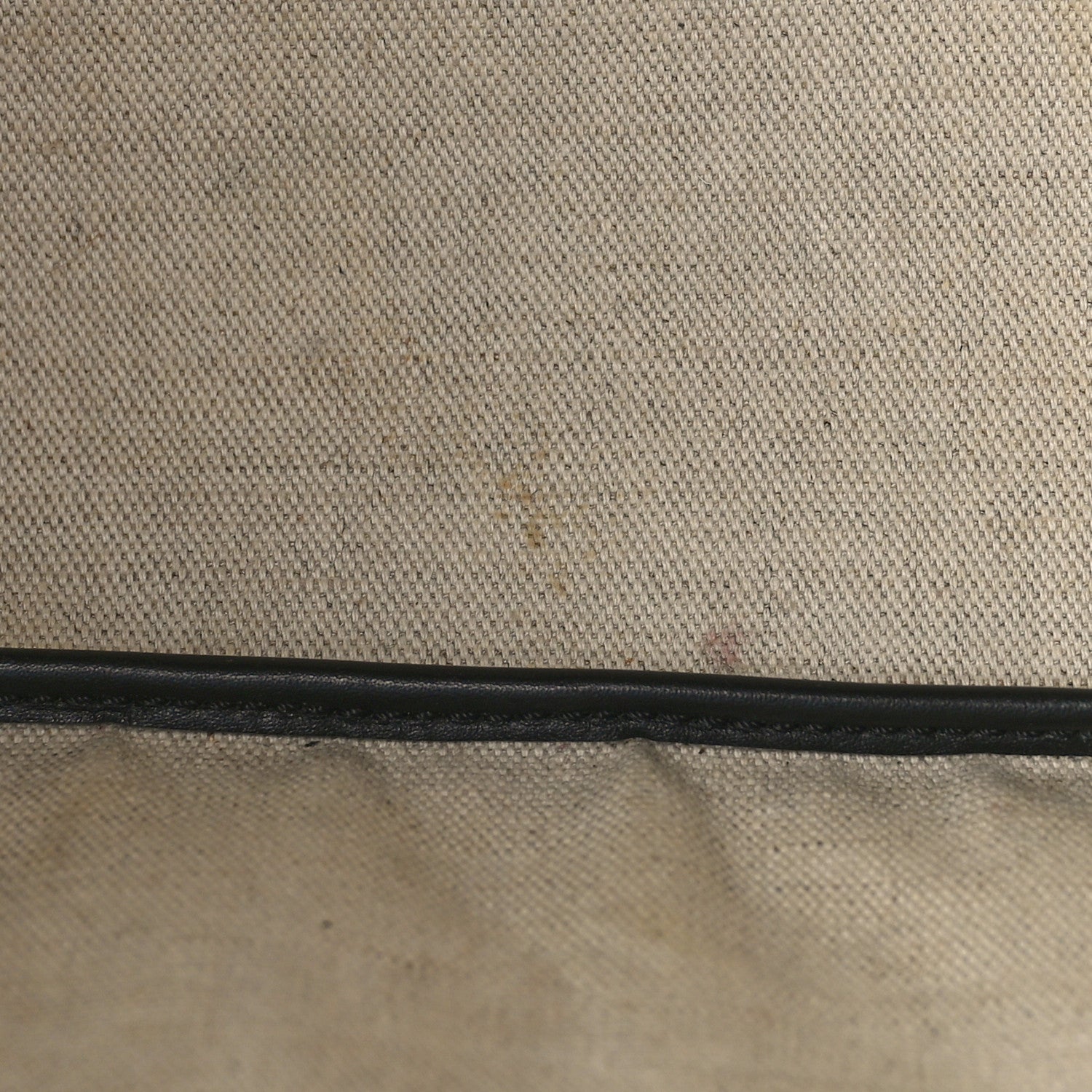 Goyard Goyardine Saint Louis PM Black 12 of 12