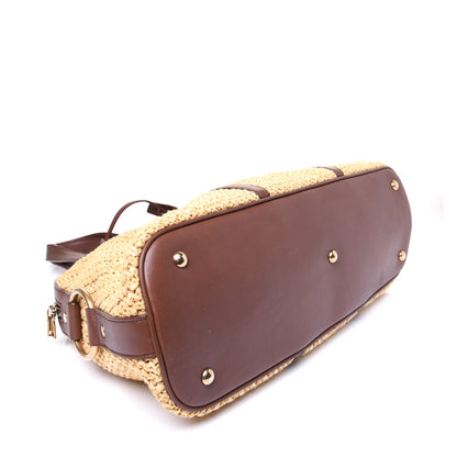 Saint Laurent Raffia Large Muse Brown 5 of 14