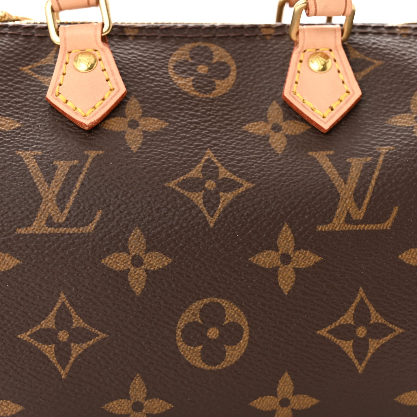 Monogram Nano Speedy