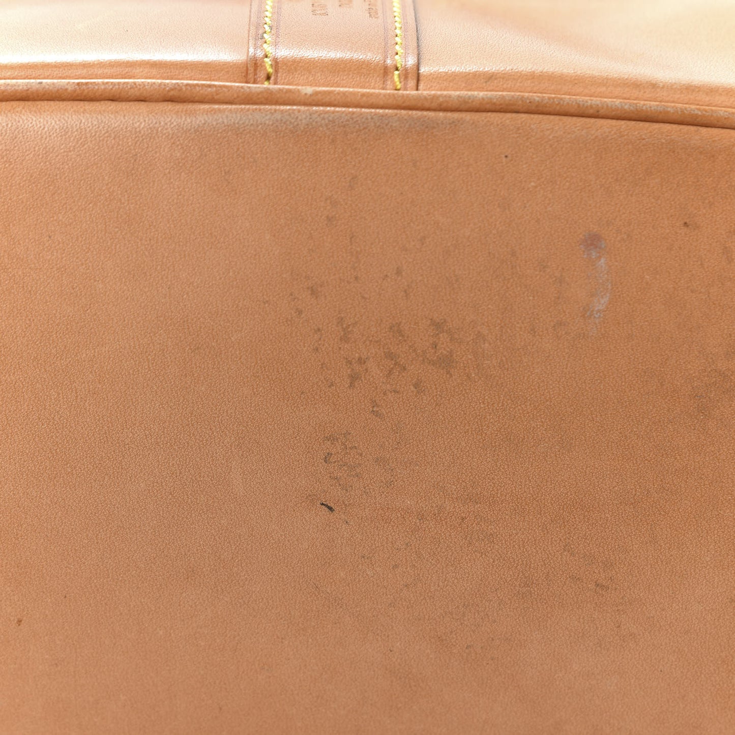 Monogram Randonnee GM Backpack