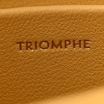 Celine Shiny Calfskin Teen Triomphe Light Yellow 7 of 14