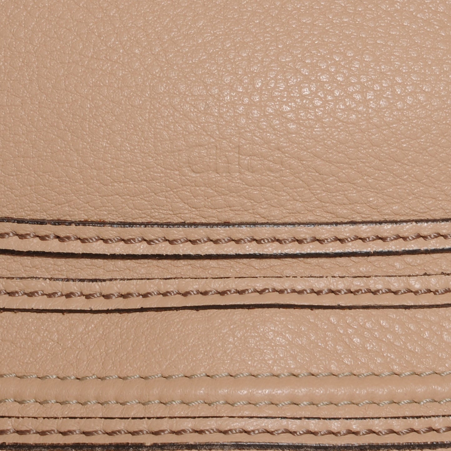 Calfskin Large Marcie Hobo Nude
