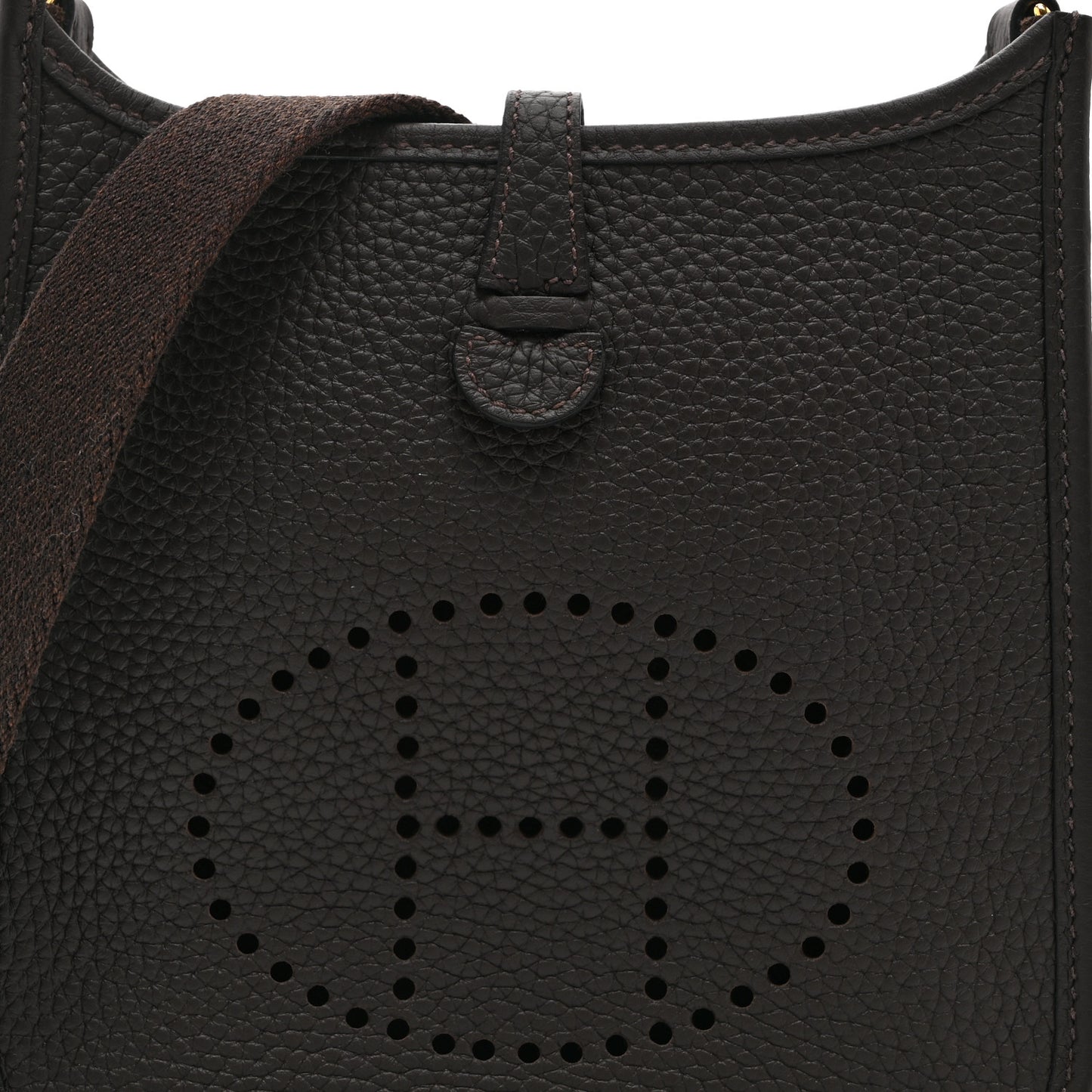 Taurillon Clemence Evelyne TPM Chocolate