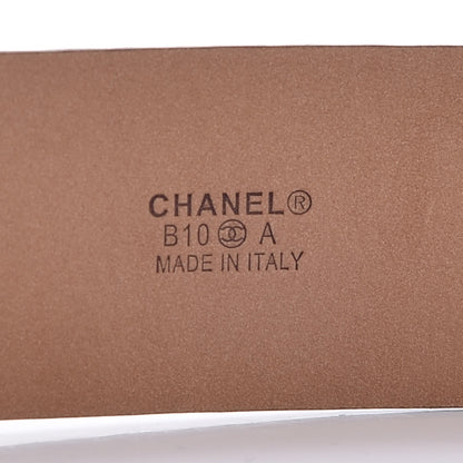 Chanel Python Reissue Belt 90 36 Ruthenium 9 of 10