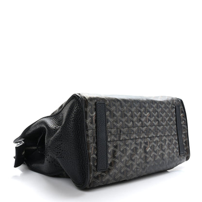 Goyard Goyardine Sac Hardy Pet Carrier PM Black 5 of 10