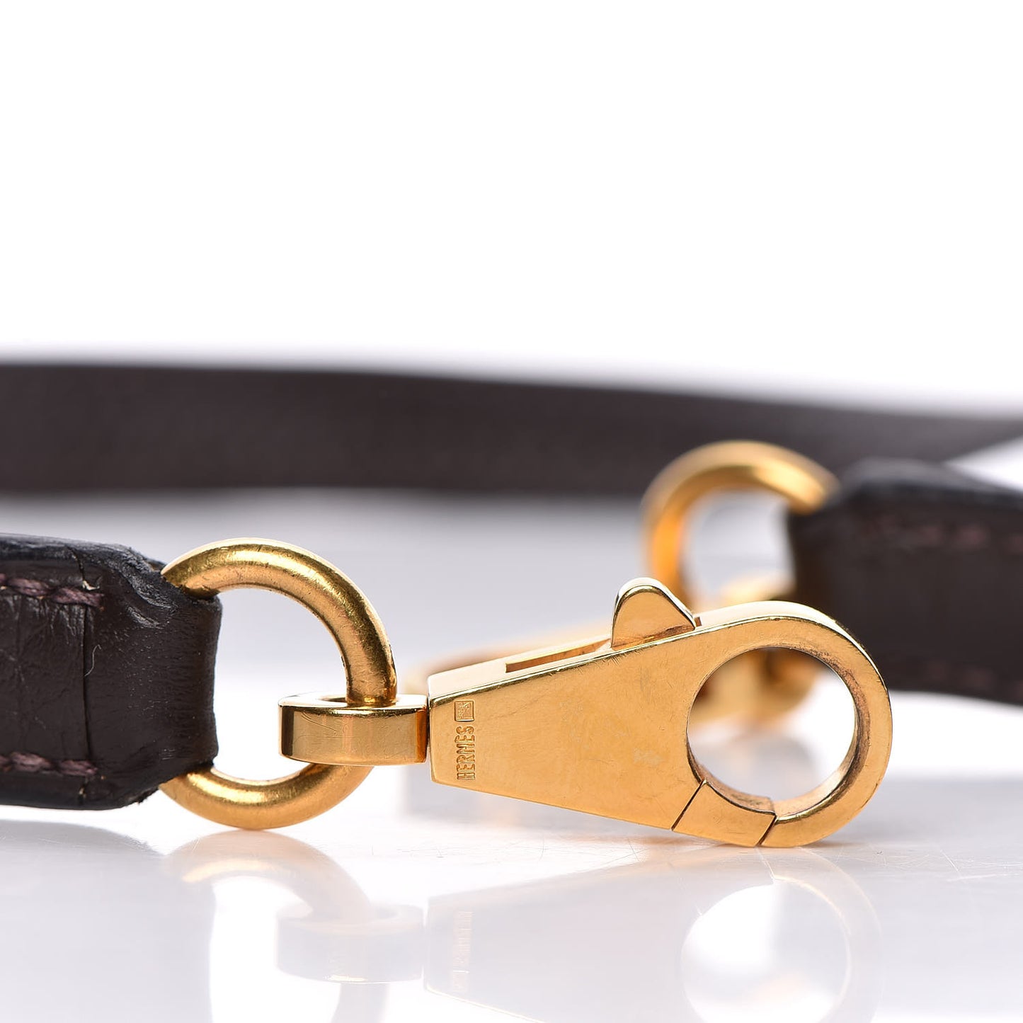 Taurillon Clemence Kelly Retourne 35 Chocolate
