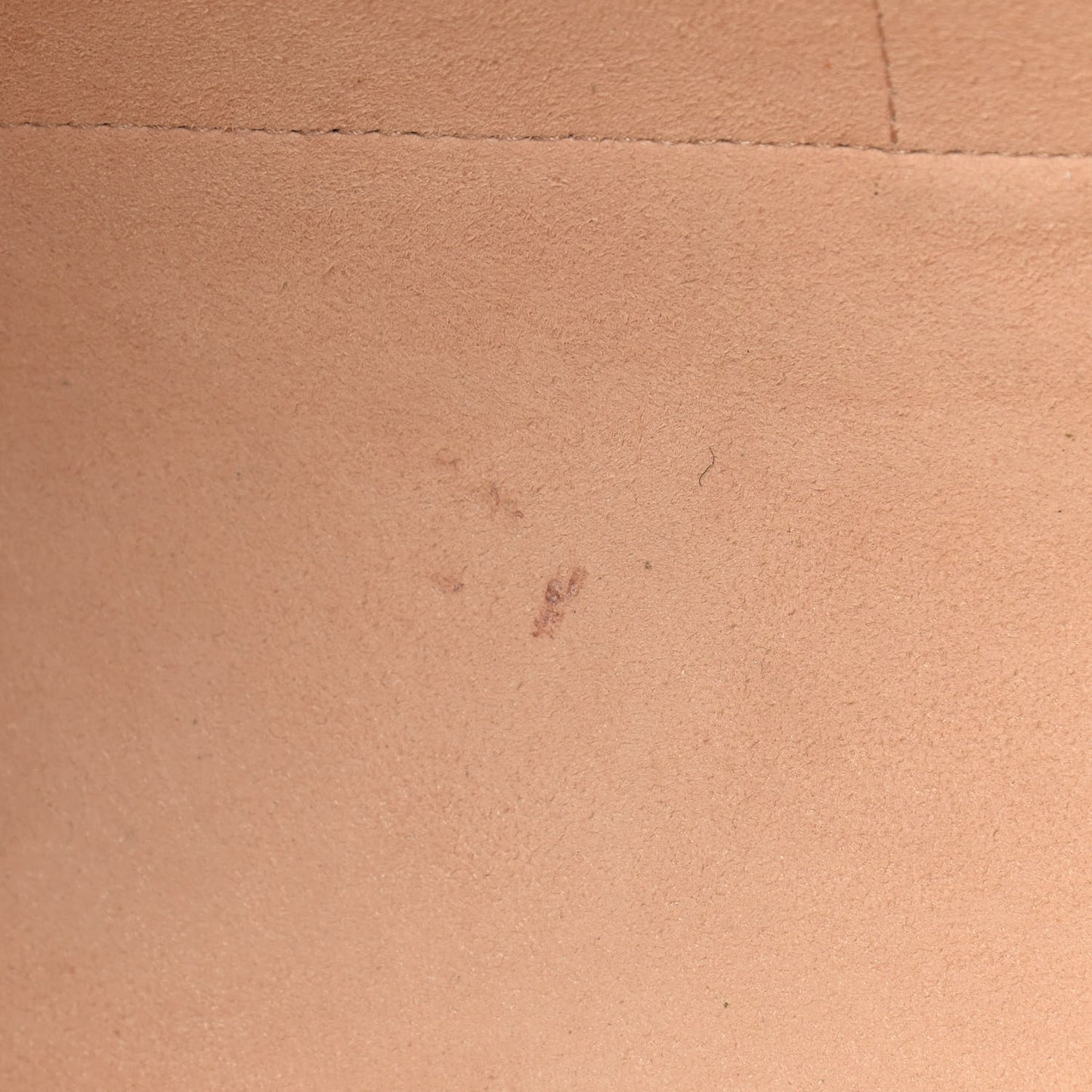 GG Supreme Monogram Web Ophidia Tote Brown