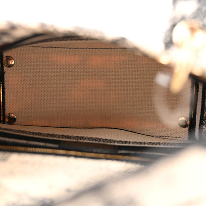 Christian Dior Canvas Embroidered Zodiac Toile De Jouy Medium Lady D-Lite Latte 5 of 15