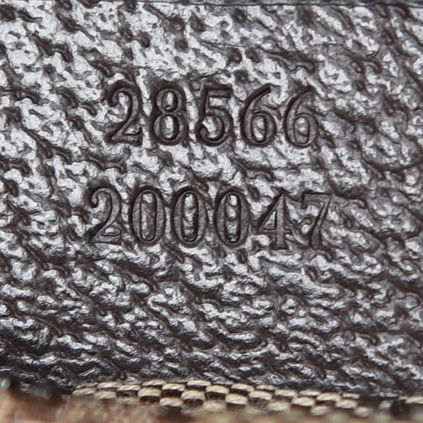 Monogram Web Belt Bag Dark Brown