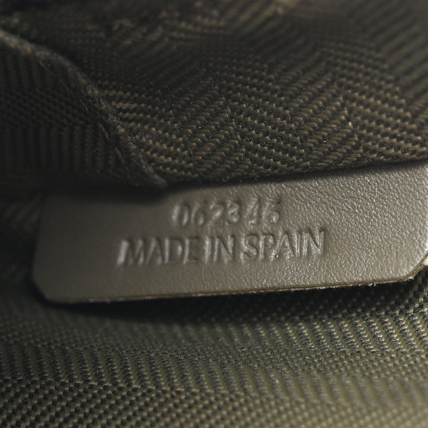 Satin Calfskin Mini Camera Bag Olive Green