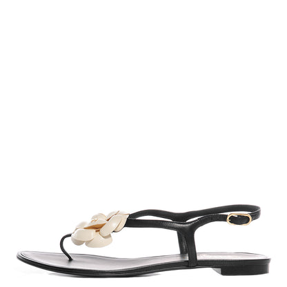 Chanel Lambskin Camellia Thong Sandals 40 Black White 1 of 7