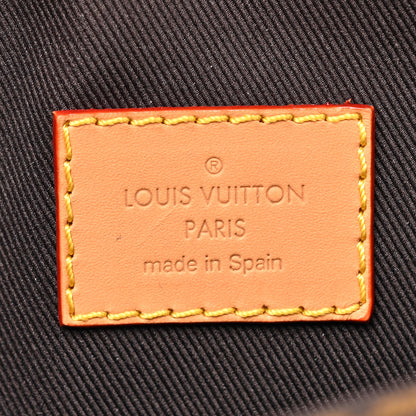 Louis Vuitton Monogram Nano Diane 6 of 10