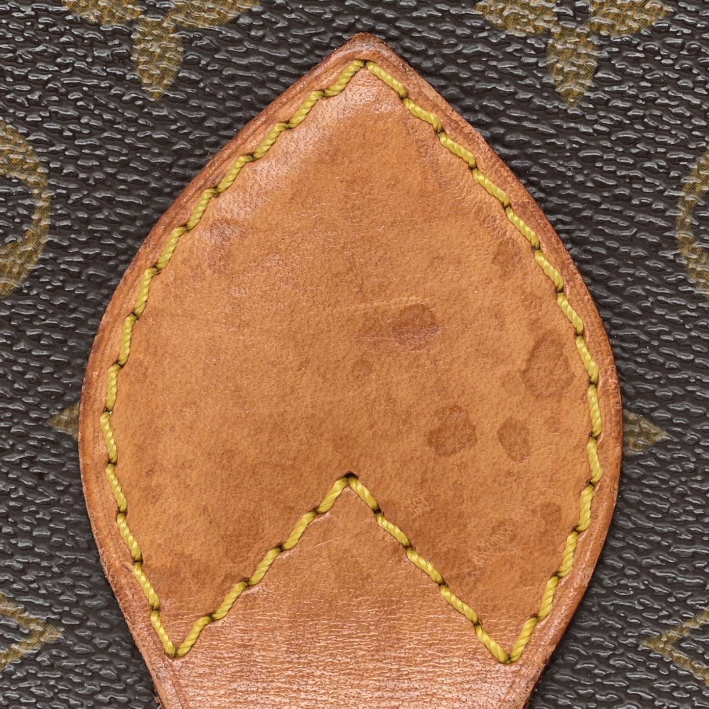Monogram Cartouchiere 26