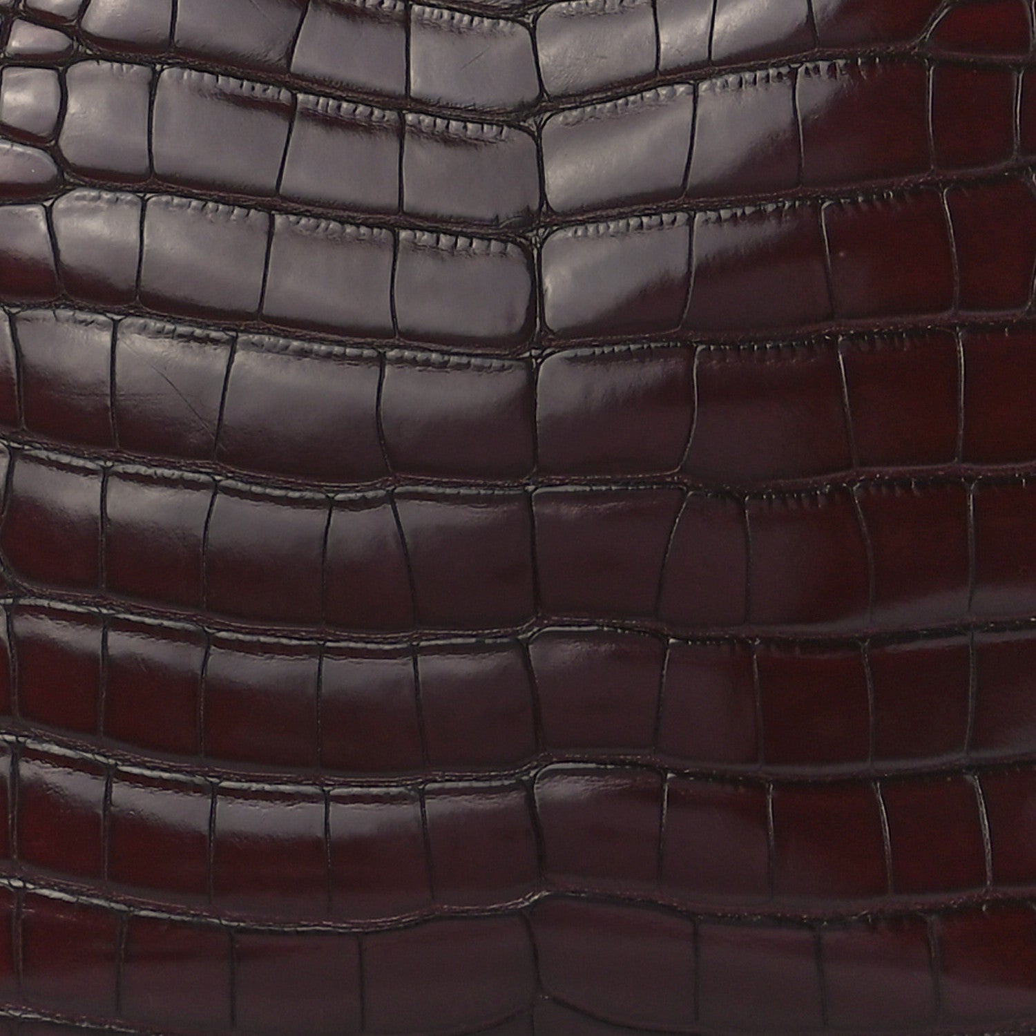 Louis Vuitton Alligator Tournon Bordeaux 7 of 10