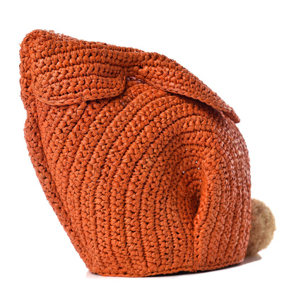 Loewe Raffia Mini Bunny Crossbody Bag Orange 1 of 8
