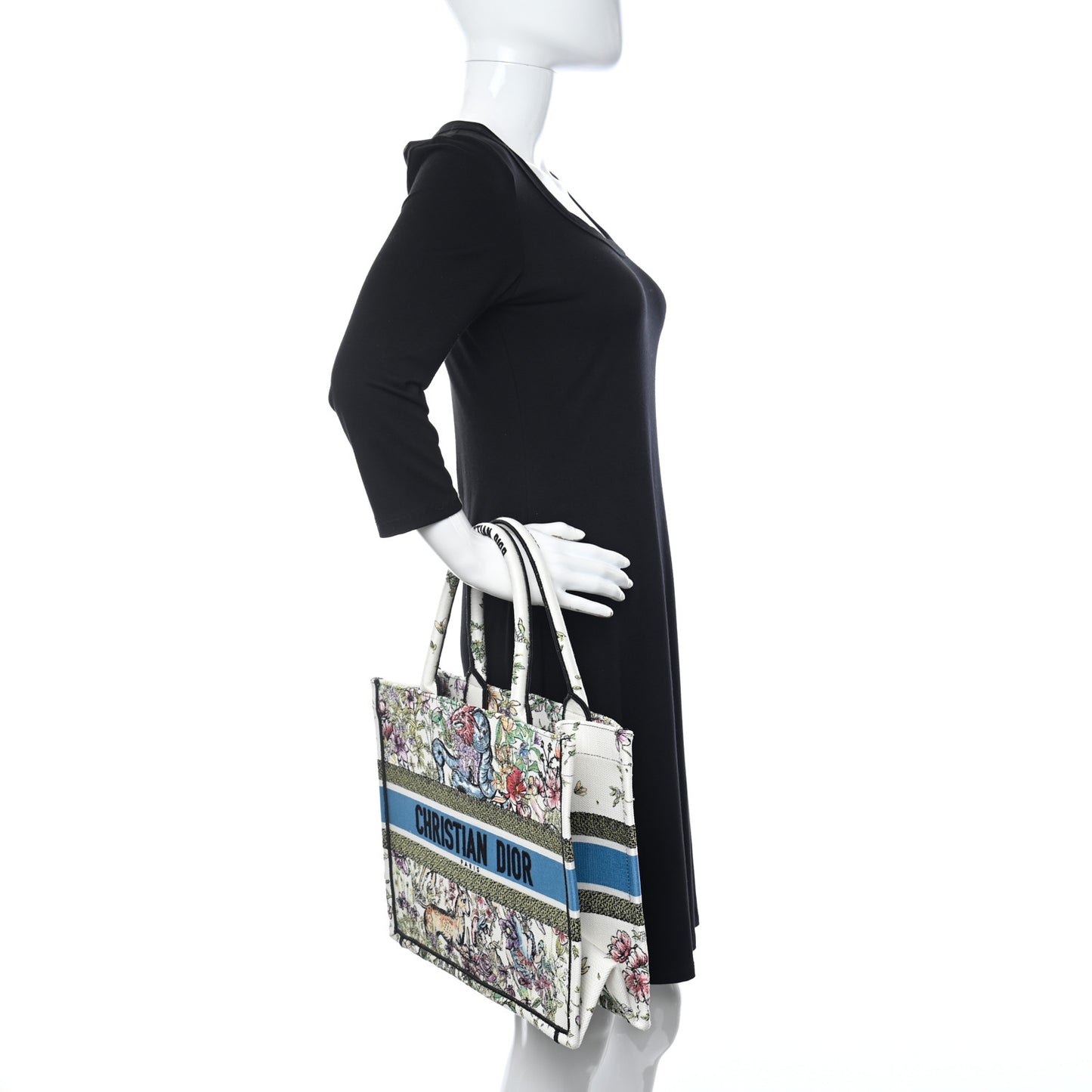 Canvas Embroidered Medium D-Constellation Book Tote Latte Multicolor