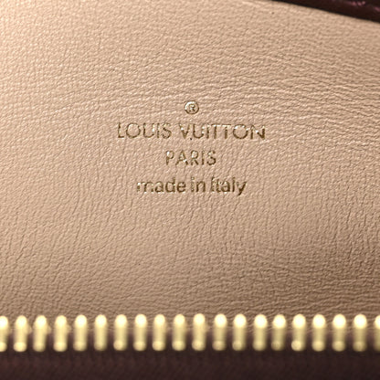 Louis Vuitton Calfskin Colored Monogram Speedy Amazon Chocolate White 6 of 9