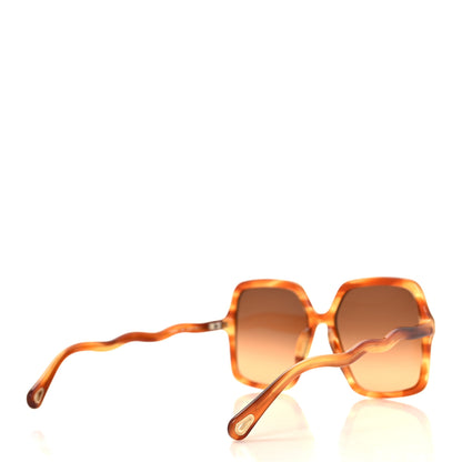 Chloe Acetate Zelie Square Sunglasses CH0086S Havana 4 of 7