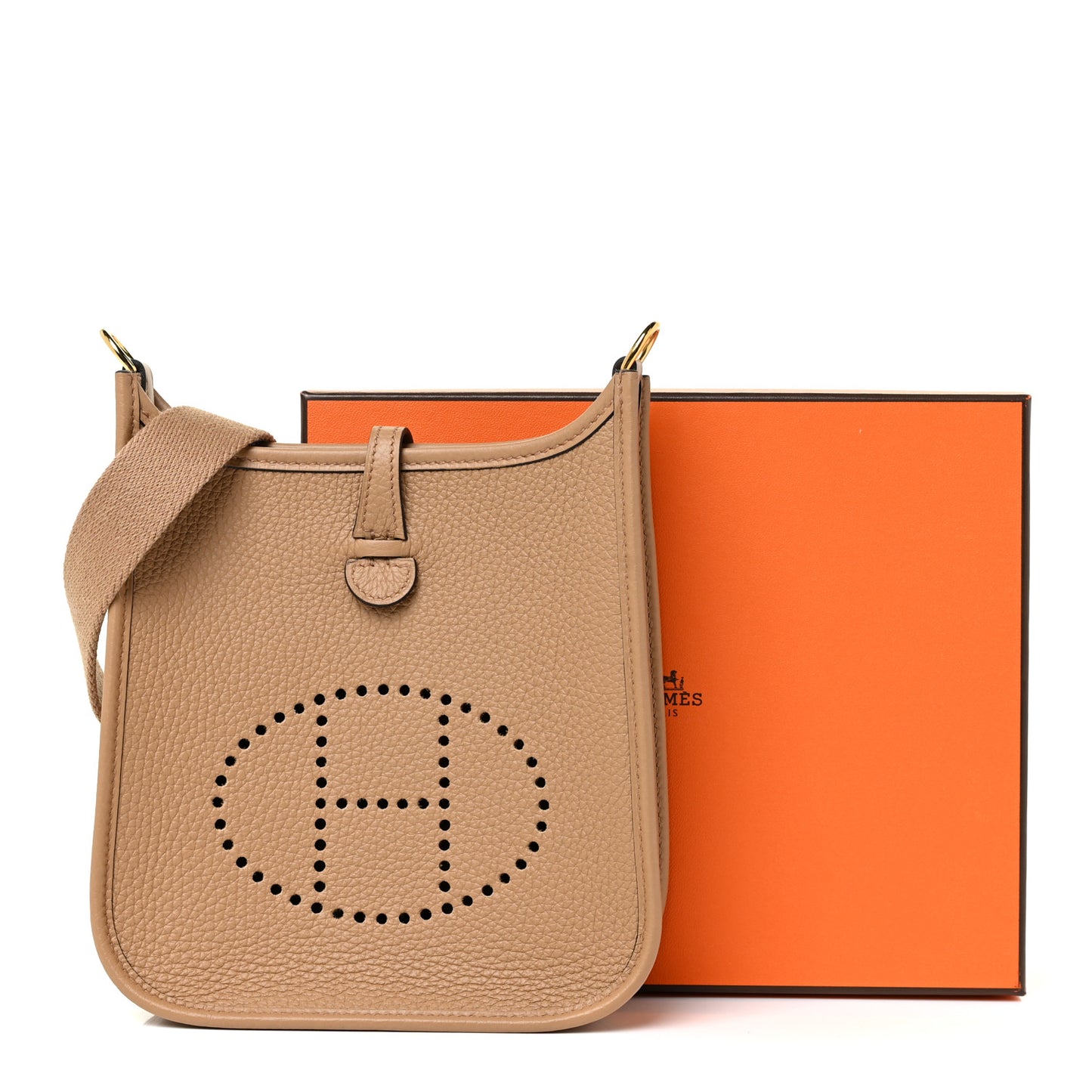 Taurillon Clemence Evelyne TPM Biscuit