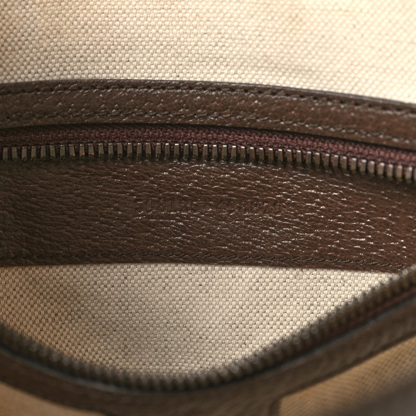 GG Supreme Monogram Web Small Ophidia Half Moon Hobo Brown